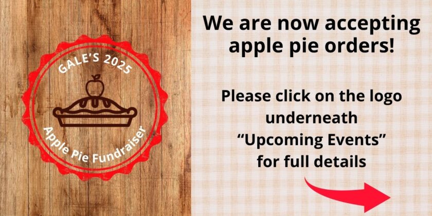 apple pies